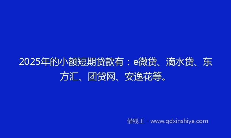 2025年的小额短期贷款有：e微贷、滴水贷、东方汇、团贷网、安逸花等。