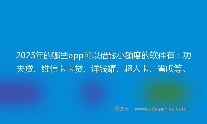 2025年的哪些app可以借钱小额度的软件有：功夫贷、维信卡卡贷、洋钱罐、超人卡、省呗等。