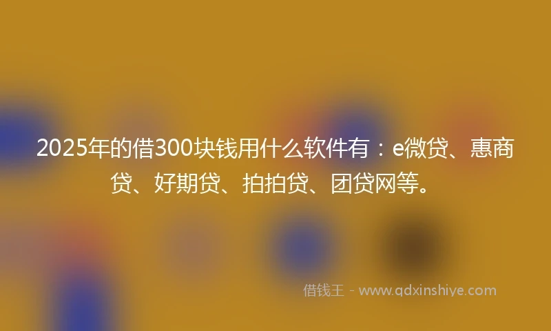 2025年的借300块钱用什么软件有：e微贷、惠商贷、好期贷、拍拍贷、团贷网等。