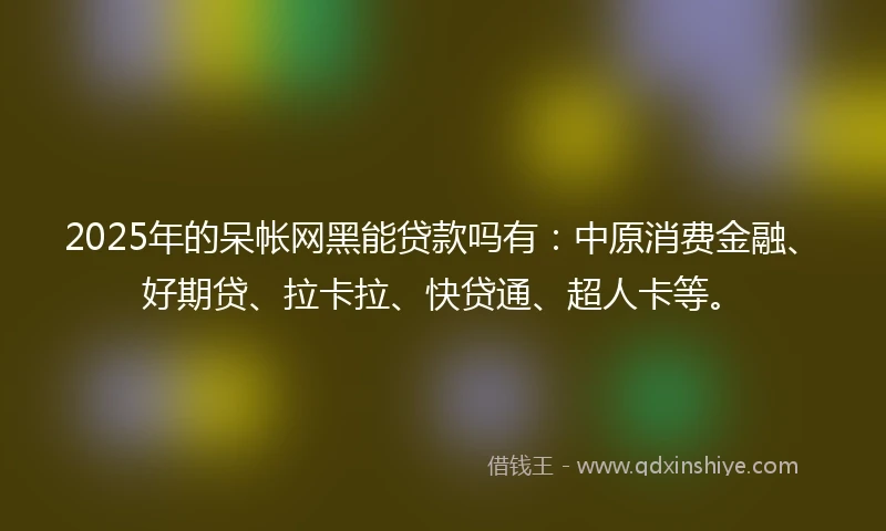 2025年的呆帐网黑能贷款吗有：中原消费金融、好期贷、拉卡拉、快贷通、超人卡等。