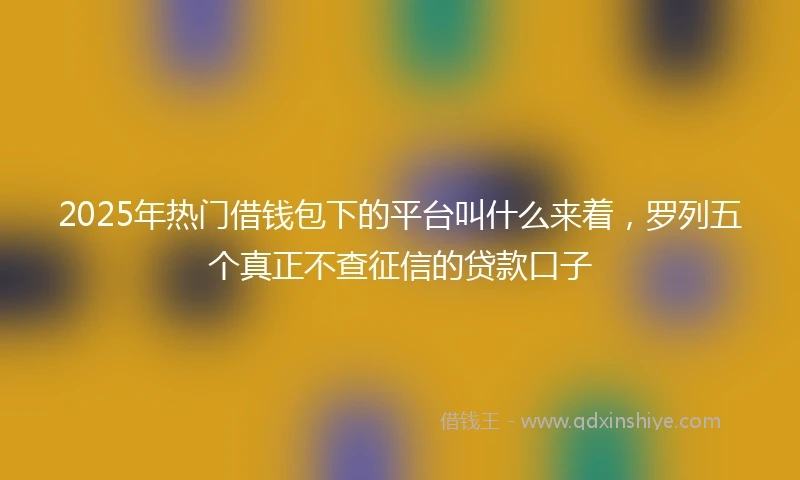 2025年热门借钱包下的平台叫什么来着，罗列五个真正不查征信的贷款口子