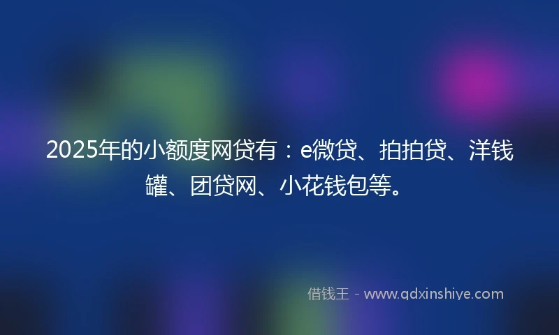 2025年的小额度网贷有：e微贷、拍拍贷、洋钱罐、团贷网、小花钱包等。