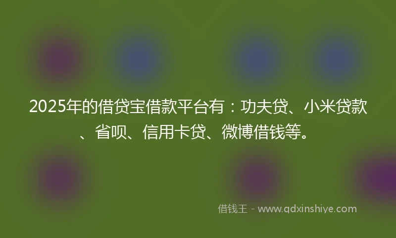 2025年的借贷宝借款平台有：功夫贷、小米贷款、省呗、信用卡贷、微博借钱等。