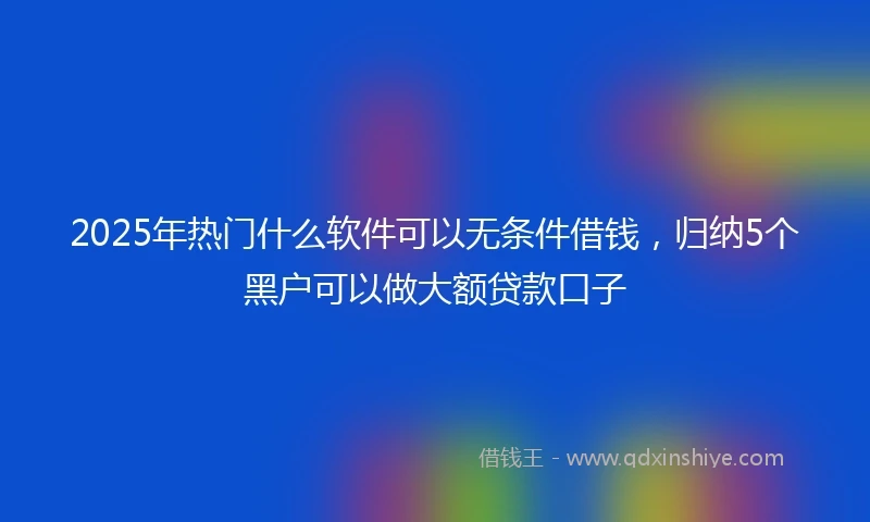 2025年热门什么软件可以无条件借钱，归纳5个黑户可以做大额贷款口子