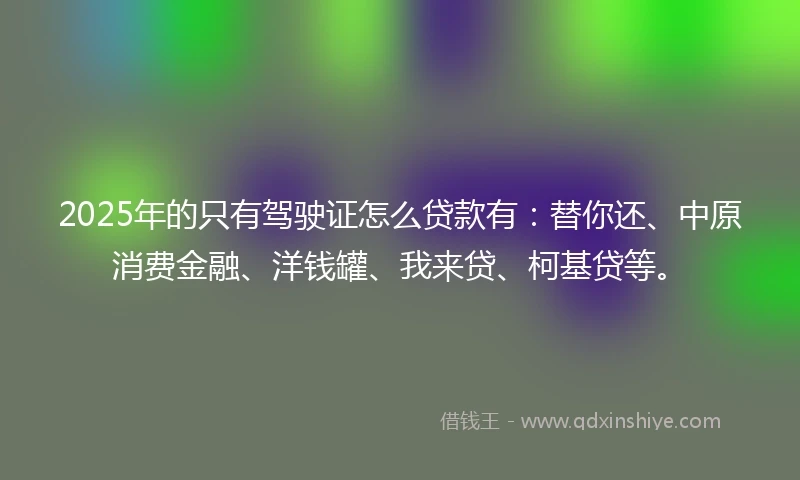 2025年的只有驾驶证怎么贷款有：替你还、中原消费金融、洋钱罐、我来贷、柯基贷等。