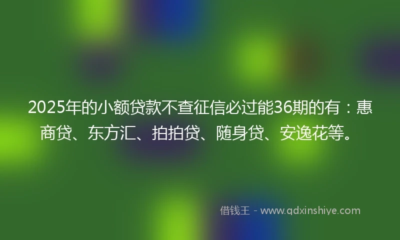 2025年的小额贷款不查征信必过能36期的有：惠商贷、东方汇、拍拍贷、随身贷、安逸花等。