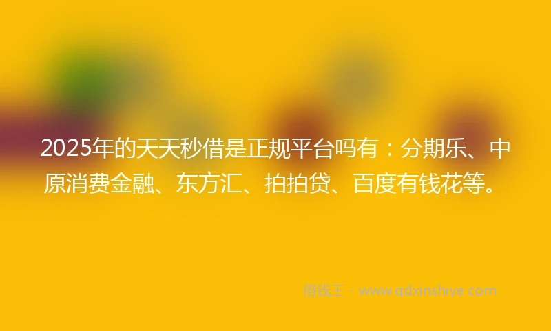 2025年的天天秒借是正规平台吗有：分期乐、中原消费金融、东方汇、拍拍贷、百度有钱花等。