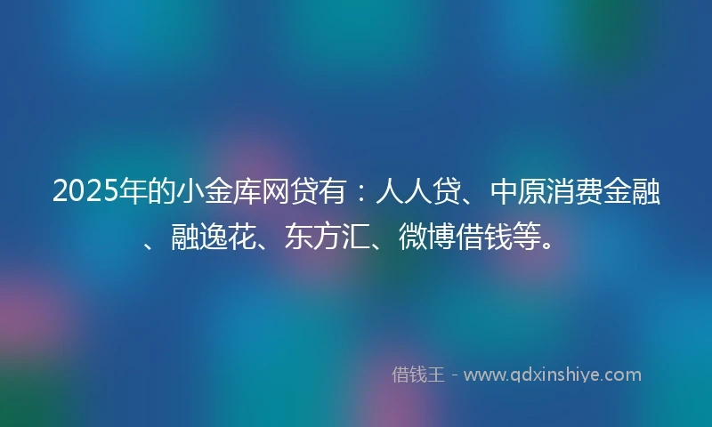 2025年的小金库网贷有：人人贷、中原消费金融、融逸花、东方汇、微博借钱等。