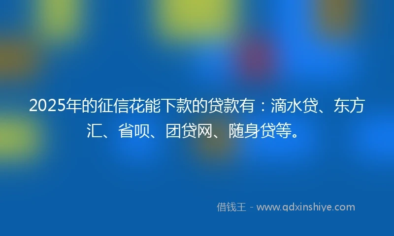 2025年的征信花能下款的贷款有：滴水贷、东方汇、省呗、团贷网、随身贷等。