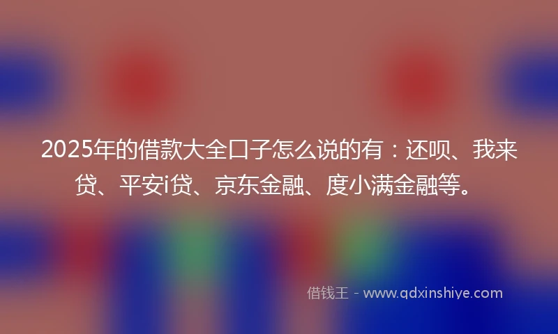 2025年的借款大全口子怎么说的有：还呗、我来贷、平安i贷、京东金融、度小满金融等。