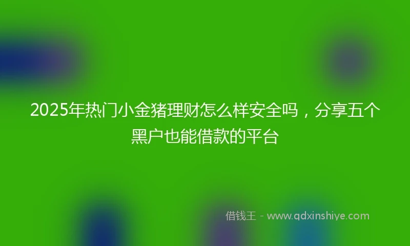 2025年热门小金猪理财怎么样安全吗，分享五个黑户也能借款的平台