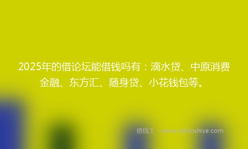 2025年的借论坛能借钱吗有：滴水贷、中原消费金融、东方汇、随身贷、小花钱包等。