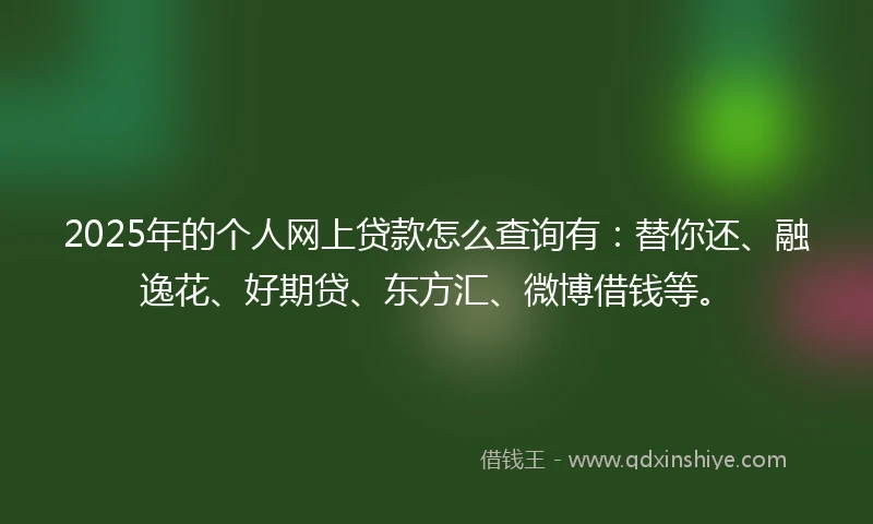 2025年的个人网上贷款怎么查询有：替你还、融逸花、好期贷、东方汇、微博借钱等。