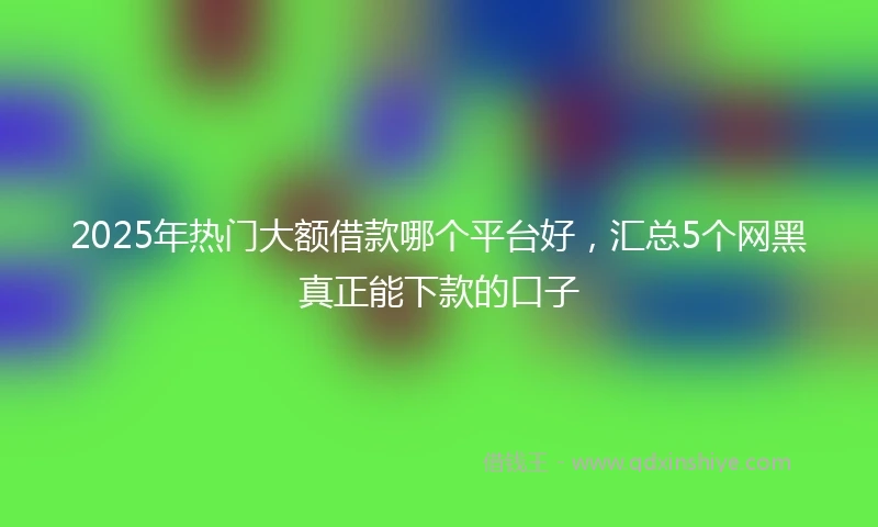 2025年热门大额借款哪个平台好，汇总5个网黑真正能下款的口子