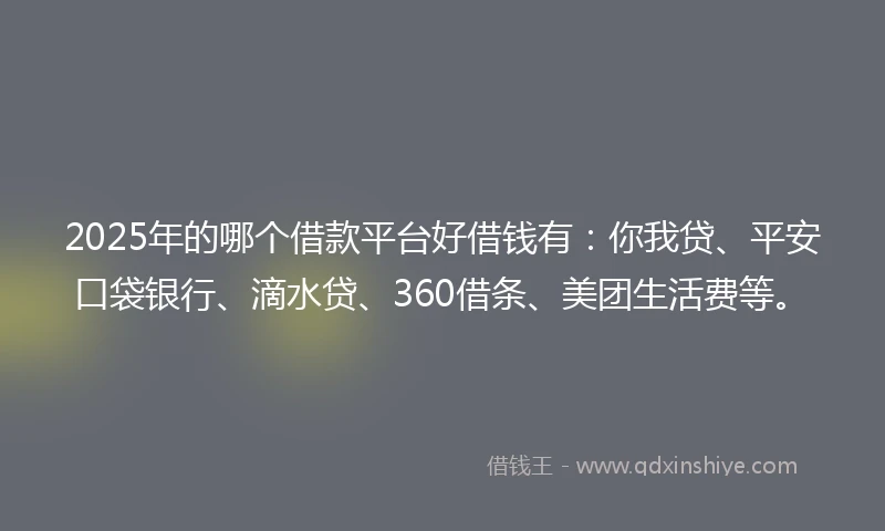 2025年的哪个借款平台好借钱有：你我贷、平安口袋银行、滴水贷、360借条、美团生活费等。
