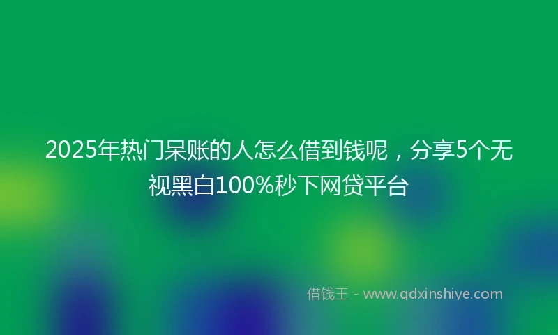2025年热门呆账的人怎么借到钱呢，分享5个无视黑白100%秒下网贷平台