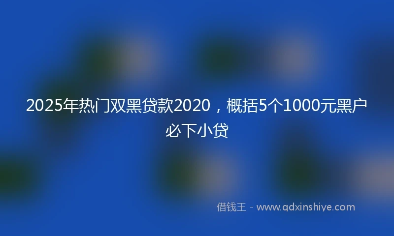 2025年热门双黑贷款2020，概括5个1000元黑户必下小贷