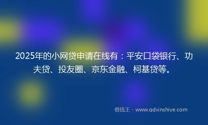 2025年的小网贷申请在线有：平安口袋银行、功夫贷、投友圈、京东金融、柯基贷等。
