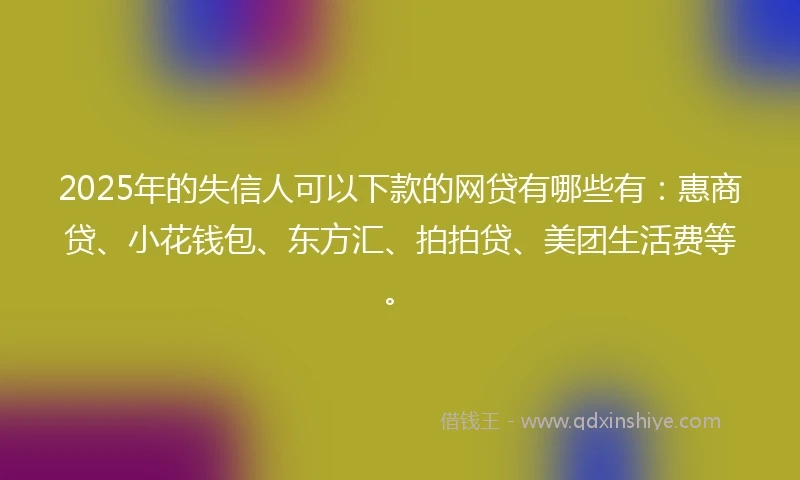 2025年的失信人可以下款的网贷有哪些有：惠商贷、小花钱包、东方汇、拍拍贷、美团生活费等。