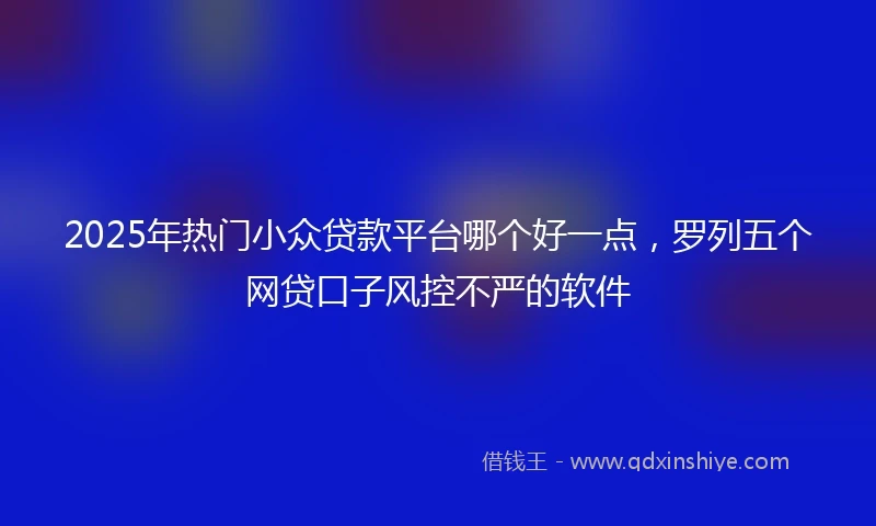 2025年热门小众贷款平台哪个好一点，罗列五个网贷口子风控不严的软件