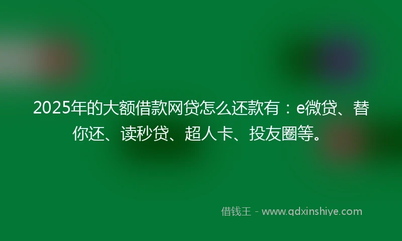 2025年的大额借款网贷怎么还款有：e微贷、替你还、读秒贷、超人卡、投友圈等。