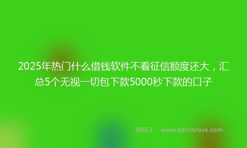 2025年热门什么借钱软件不看征信额度还大，汇总5个无视一切包下款5000秒下款的口子