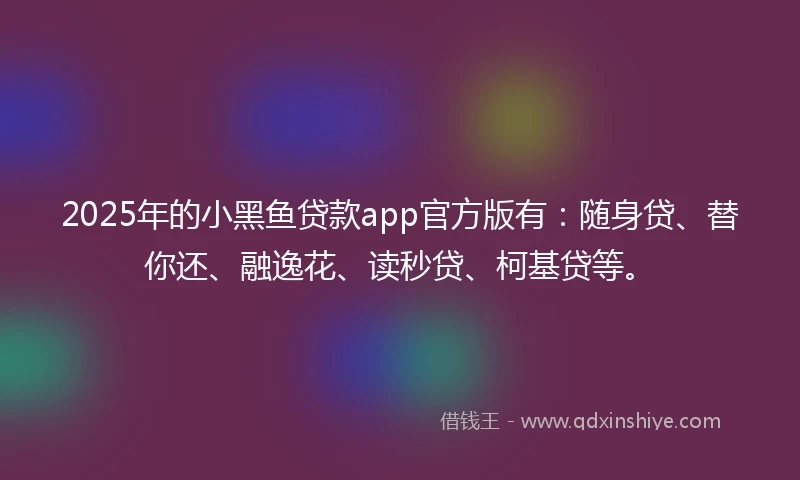 2025年的小黑鱼贷款app官方版有：随身贷、替你还、融逸花、读秒贷、柯基贷等。