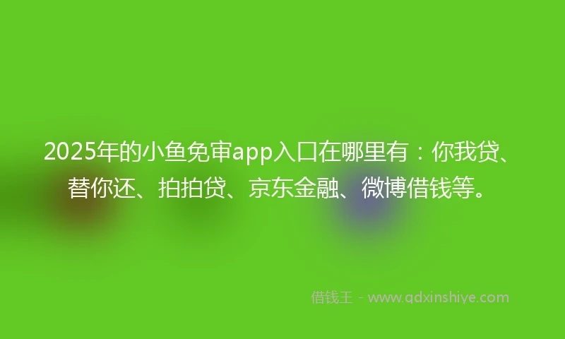 2025年的小鱼免审app入口在哪里有：你我贷、替你还、拍拍贷、京东金融、微博借钱等。