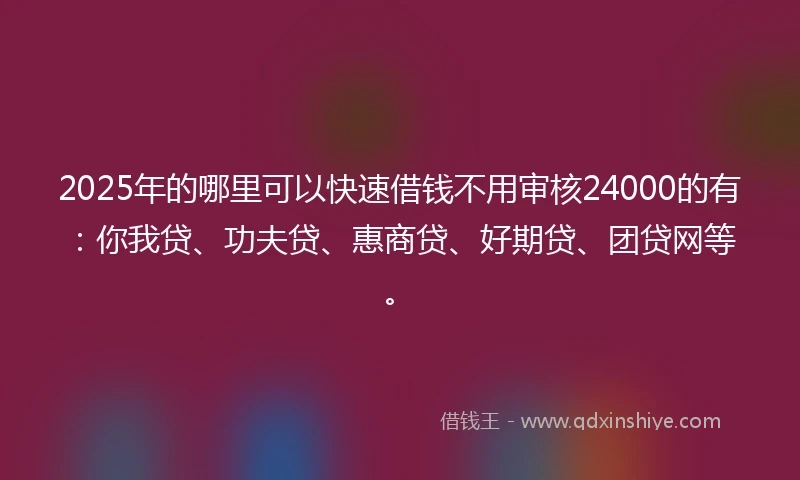 2025年的哪里可以快速借钱不用审核24000的有：你我贷、功夫贷、惠商贷、好期贷、团贷网等。