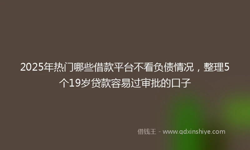 2025年热门哪些借款平台不看负债情况，整理5个19岁贷款容易过审批的口子