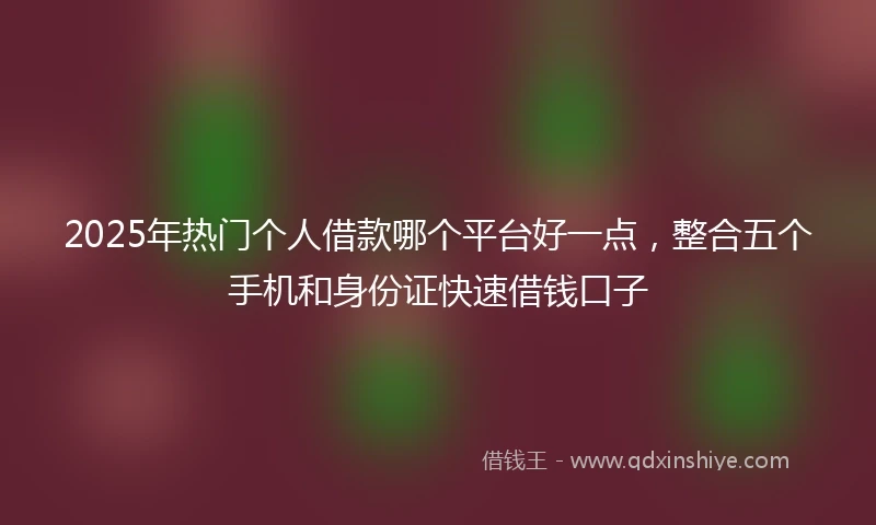 2025年热门个人借款哪个平台好一点，整合五个手机和身份证快速借钱口子