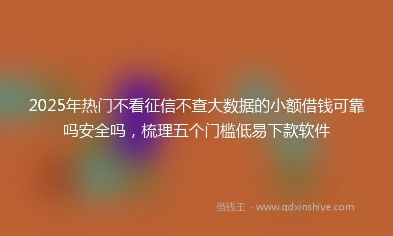 2025年热门不看征信不查大数据的小额借钱可靠吗安全吗，梳理五个门槛低易下款软件