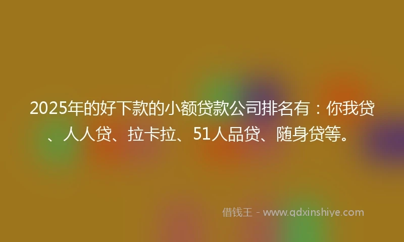 2025年的好下款的小额贷款公司排名有：你我贷、人人贷、拉卡拉、51人品贷、随身贷等。