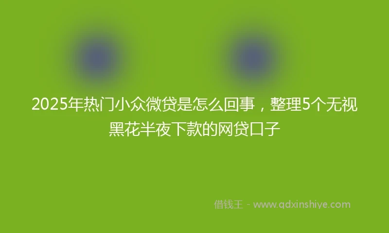 2025年热门小众微贷是怎么回事，整理5个无视黑花半夜下款的网贷口子