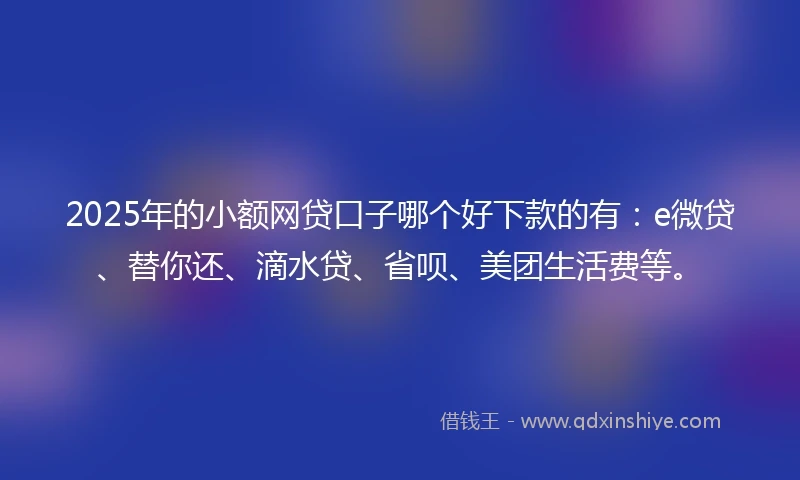 2025年的小额网贷口子哪个好下款的有：e微贷、替你还、滴水贷、省呗、美团生活费等。