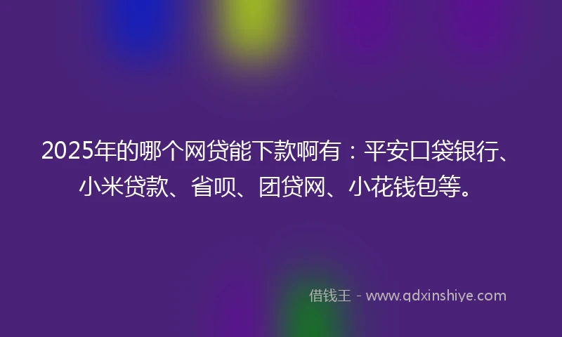 2025年的哪个网贷能下款啊有：平安口袋银行、小米贷款、省呗、团贷网、小花钱包等。