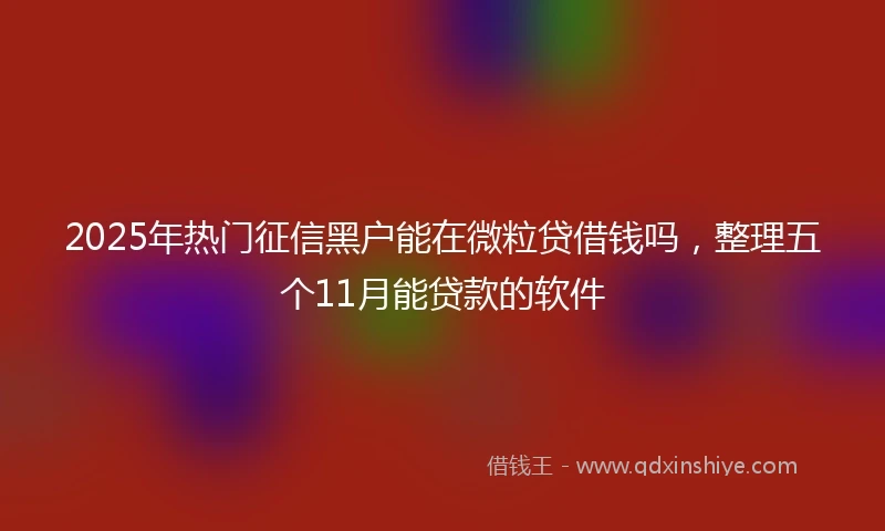 2025年热门征信黑户能在微粒贷借钱吗，整理五个11月能贷款的软件
