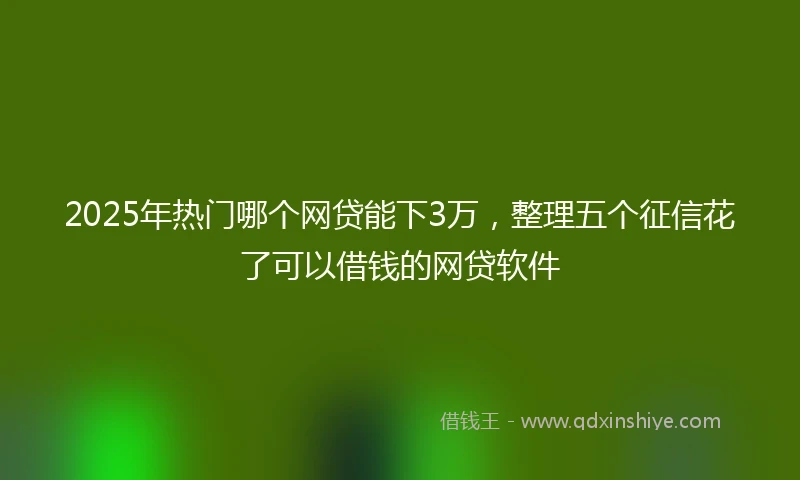 2025年热门哪个网贷能下3万，整理五个征信花了可以借钱的网贷软件