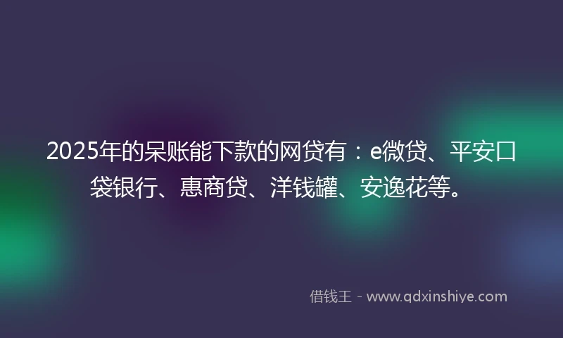 2025年的呆账能下款的网贷有：e微贷、平安口袋银行、惠商贷、洋钱罐、安逸花等。