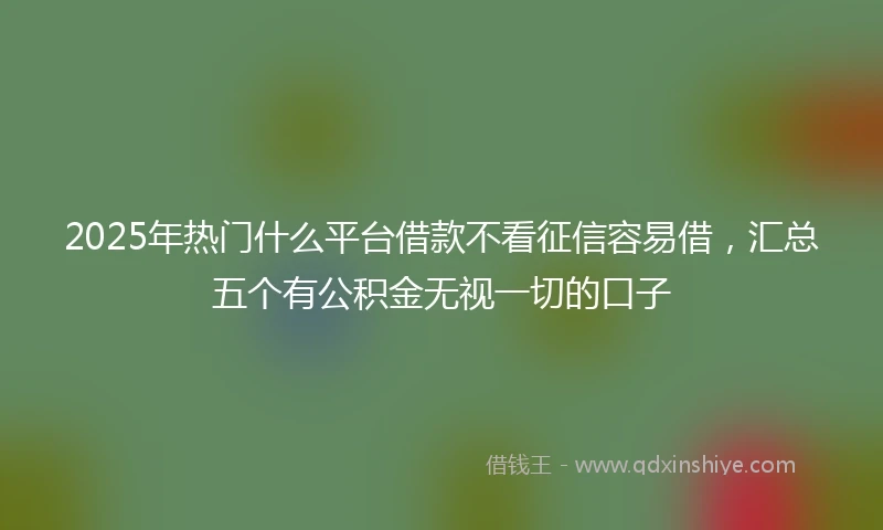 2025年热门什么平台借款不看征信容易借，汇总五个有公积金无视一切的口子