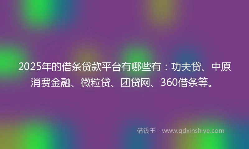 2025年的借条贷款平台有哪些有：功夫贷、中原消费金融、微粒贷、团贷网、360借条等。