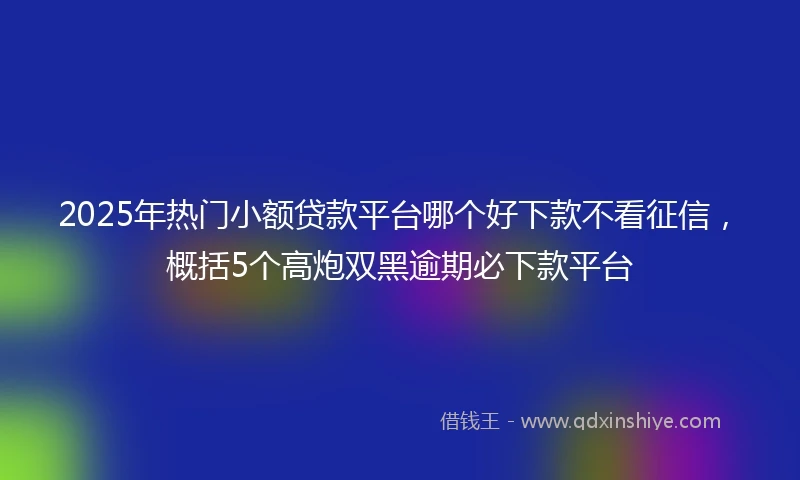 2025年热门小额贷款平台哪个好下款不看征信，概括5个高炮双黑逾期必下款平台