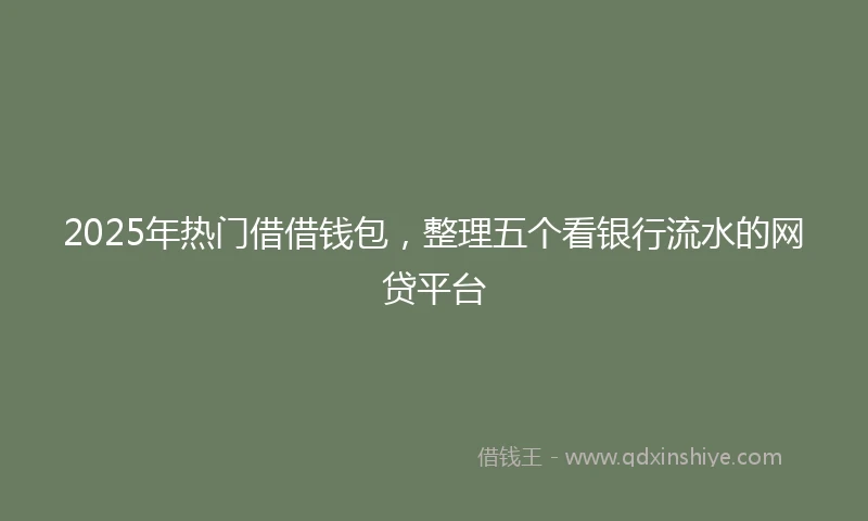 2025年热门借借钱包，整理五个看银行流水的网贷平台