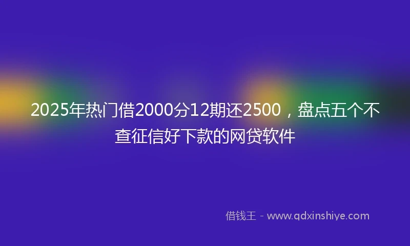 2025年热门借2000分12期还2500，盘点五个不查征信好下款的网贷软件