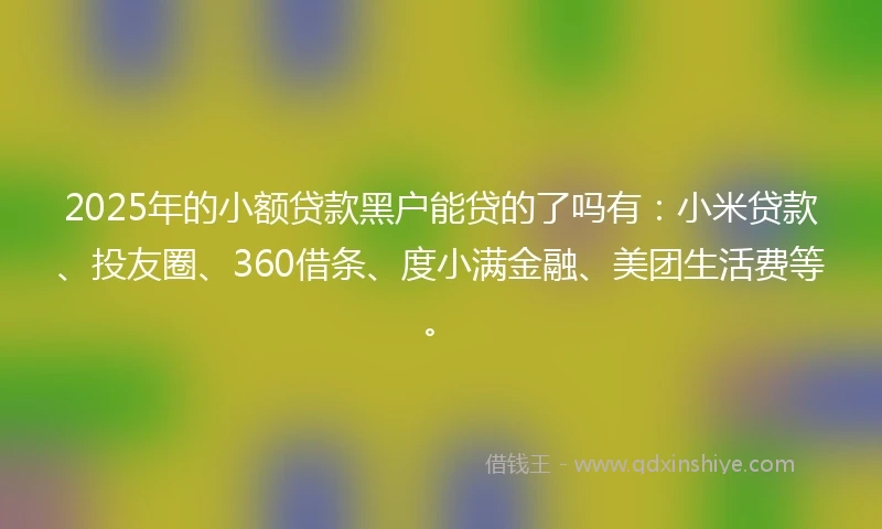 2025年的小额贷款黑户能贷的了吗有：小米贷款、投友圈、360借条、度小满金融、美团生活费等。