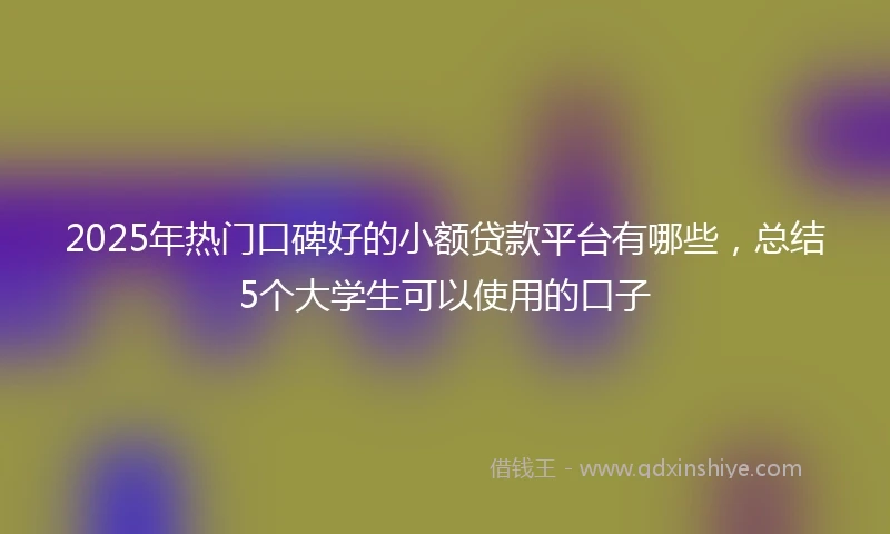 2025年热门口碑好的小额贷款平台有哪些,总结5个大学生可以使用的口子