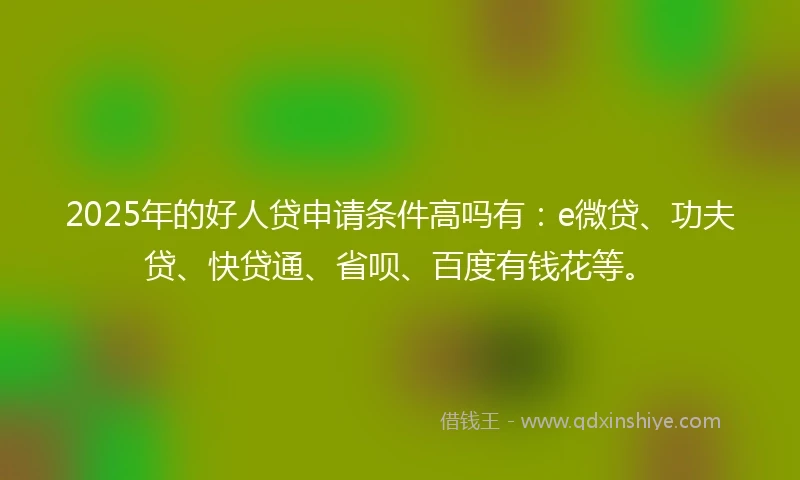 2025年的好人贷申请条件高吗有：e微贷、功夫贷、快贷通、省呗、百度有钱花等。