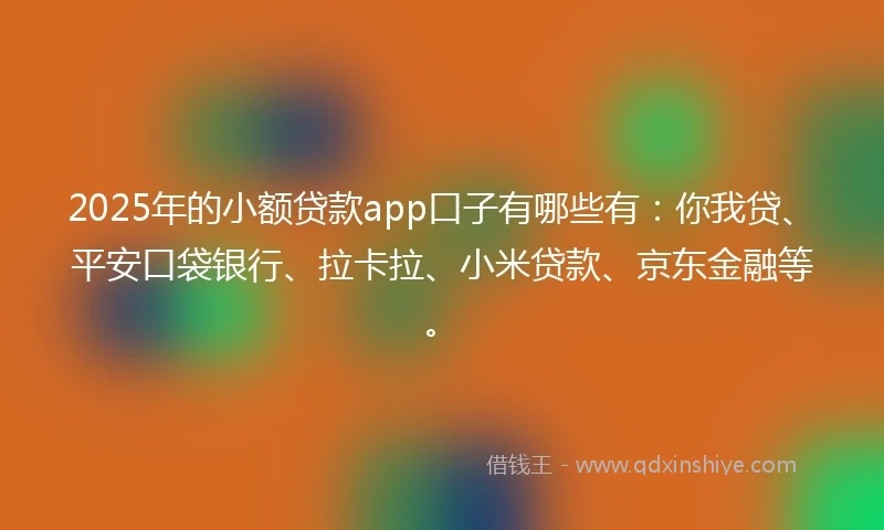 2025年的小额贷款app口子有哪些有：你我贷、平安口袋银行、拉卡拉、小米贷款、京东金融等。