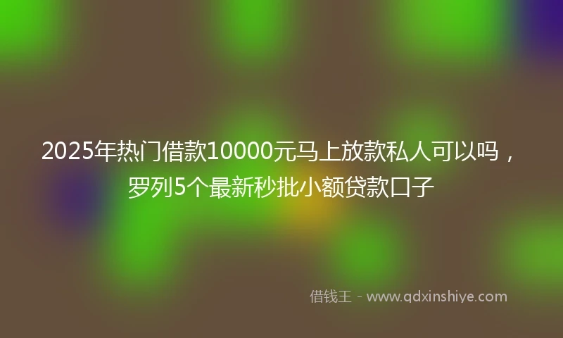 2025年热门借款10000元马上放款私人可以吗，罗列5个最新秒批小额贷款口子