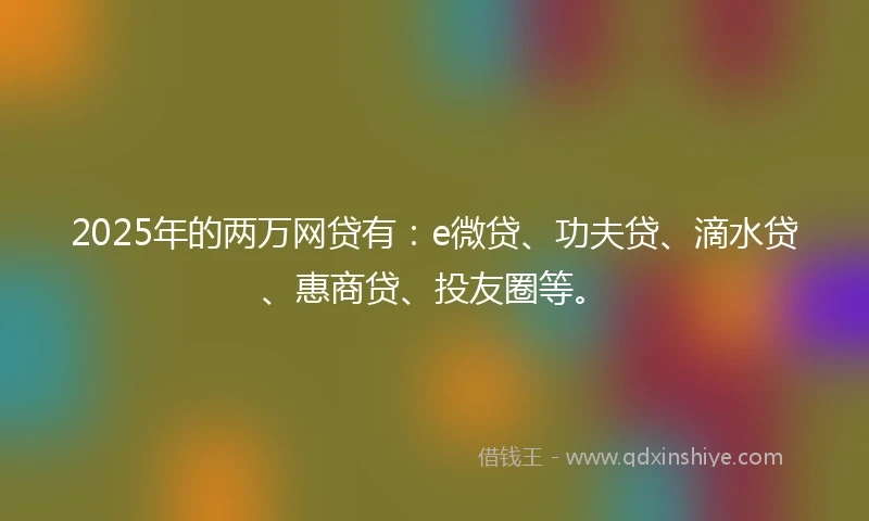 2025年的两万网贷有：e微贷、功夫贷、滴水贷、惠商贷、投友圈等。